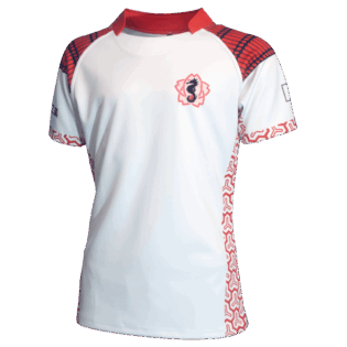 FS103-5 Rugby Jersey