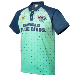 FS530 Cricket Shirts
