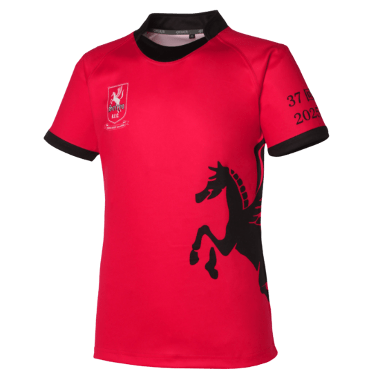 FS749 Rugby Jersey